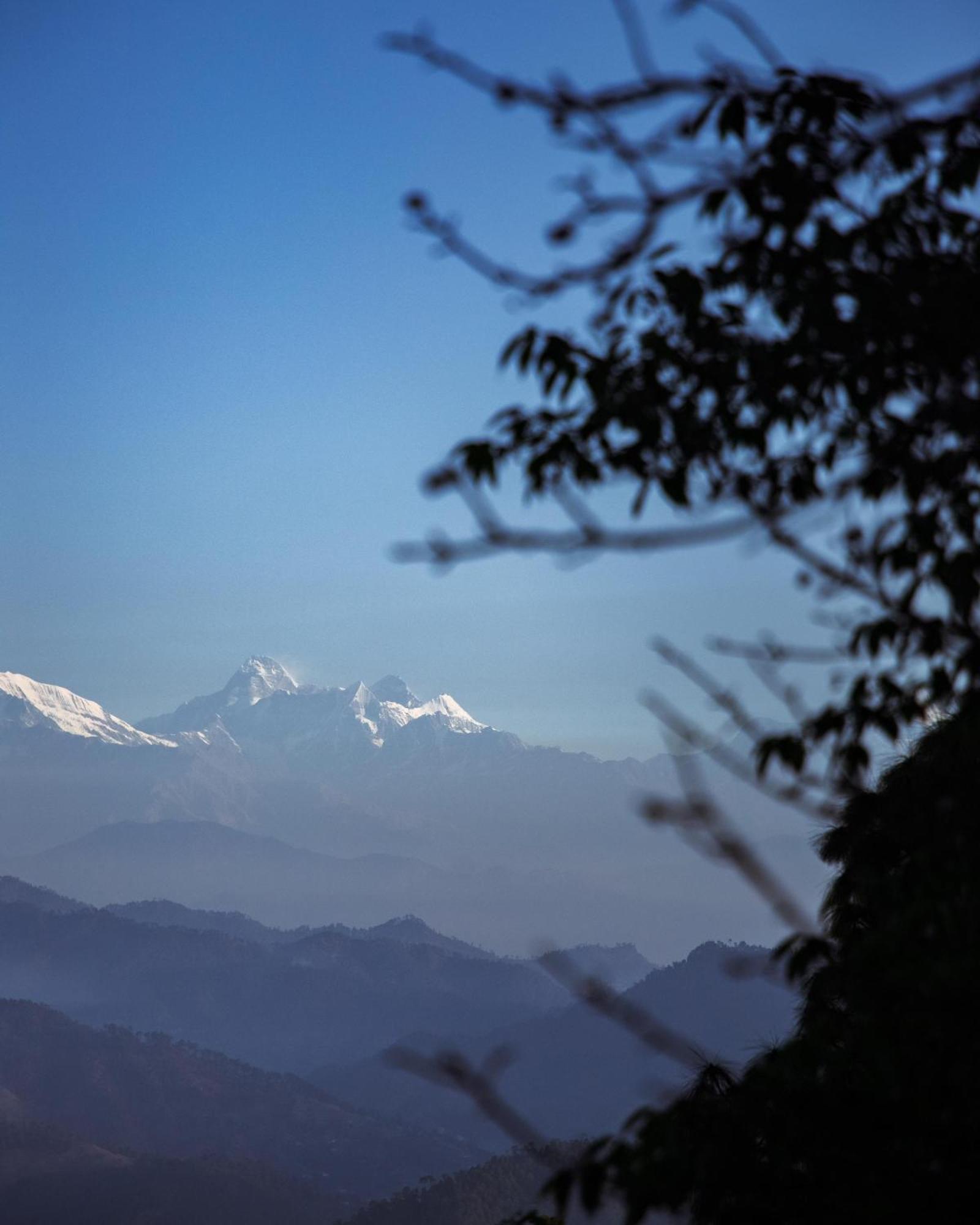 Kasar Himalaya Holiday Resort, Binsar Rd 阿尔莫拉 外观 照片
